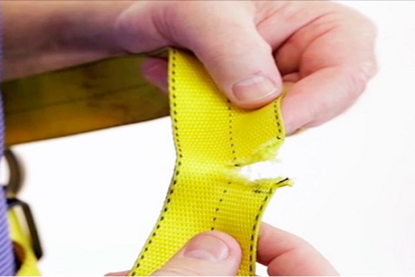 Person holding torn webbing from a fall protection harness
