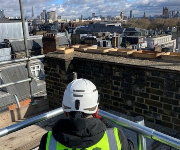 Height of Safety worker installing a guardrail on a roof. In the background you can see a city skyline